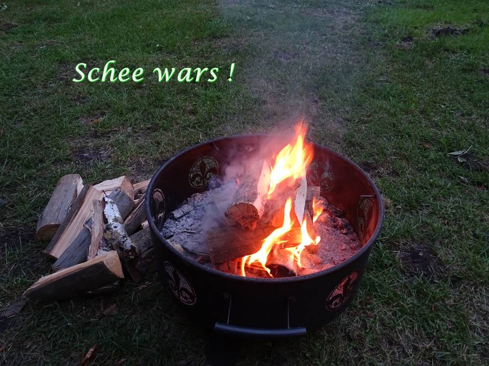 Bild 300
