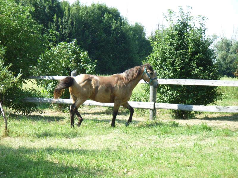 Bild 120