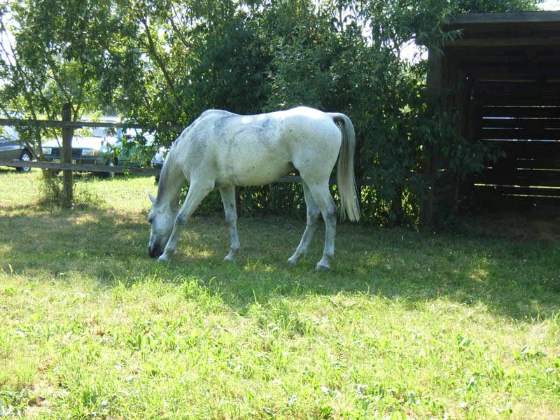 Bild 120